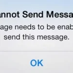 iMessage Needs to be Enabled to Send This Message